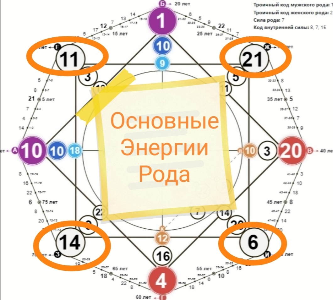 Урок 2. Глубинный разбор матрицы
