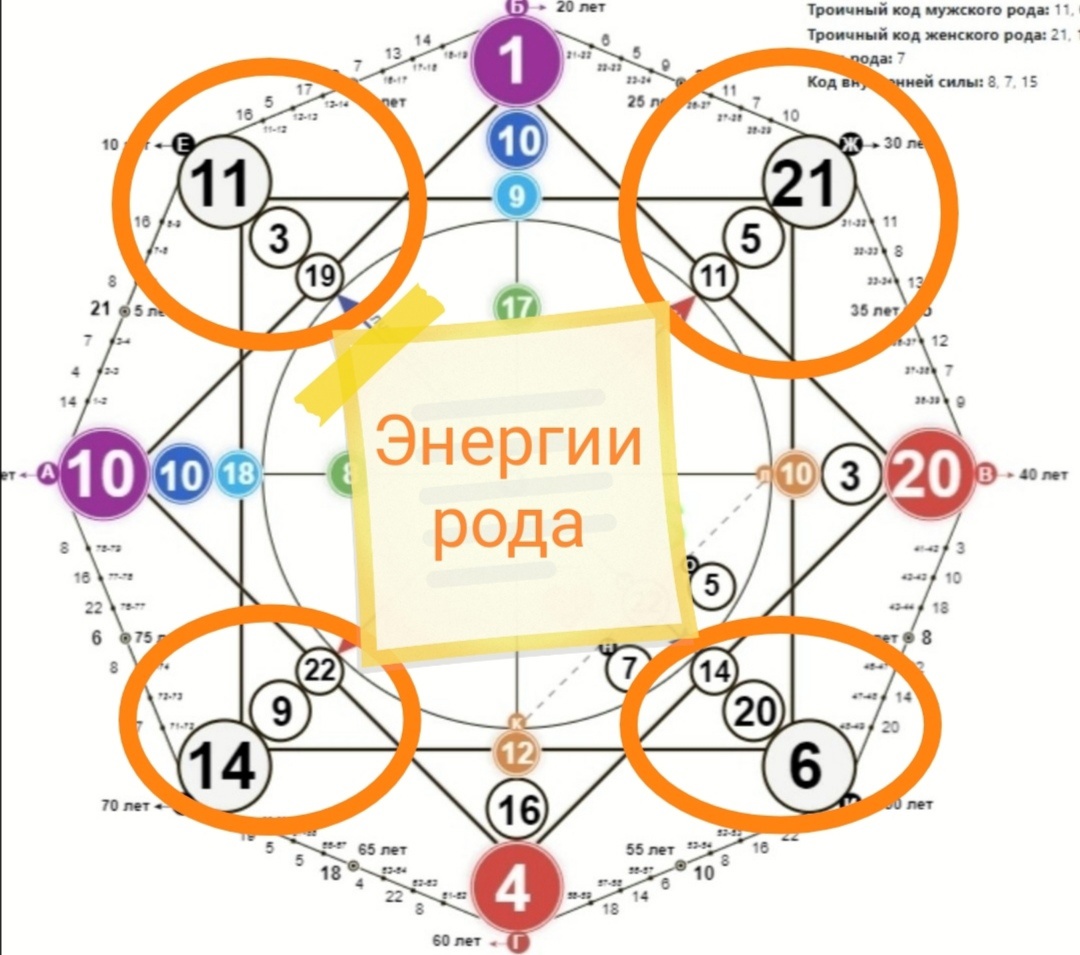 Урок 2. Глубинный разбор матрицы