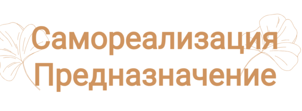 Ева - ТВ